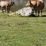 La Casa Nueva Rural Casa di campagna *