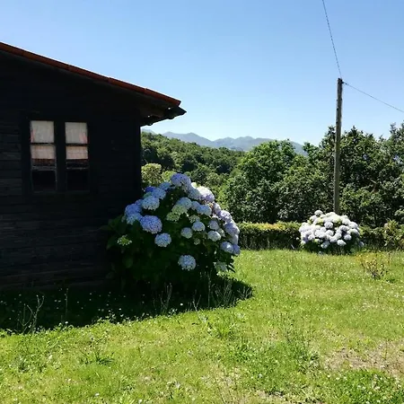 Gospodarstwo wiejskie La Casa Nueva Rural