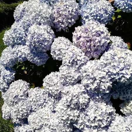 Gospodarstwo wiejskie La Casa Nueva Rural