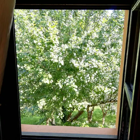 Gospodarstwo wiejskie La Casa Nueva Rural *