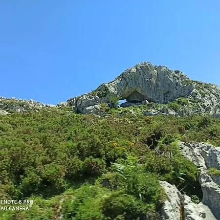 Gospodarstwo wiejskie La Casa Nueva Rural *