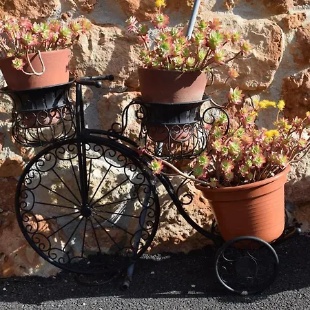 La Casa Nueva Rural Gospodarstwo wiejskie *